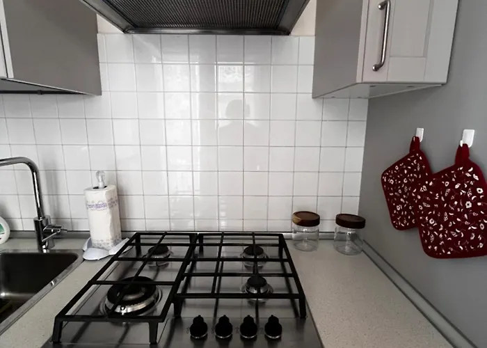 Grey Heron's Nest, Il Tuo Nido A * 维琴察